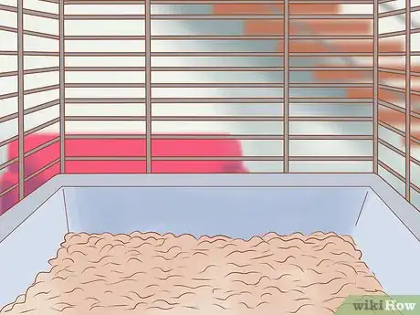 Image titled Introduce a New Hamster to Your Home Step 3