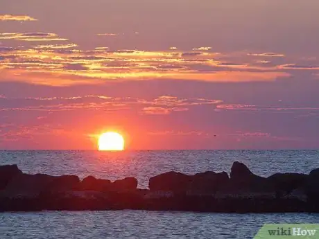 Image titled Enjoy a Peace Holiday Step 4