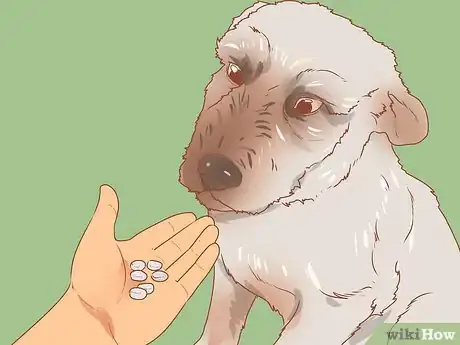 Image titled Train a Rescue Dog Step 2