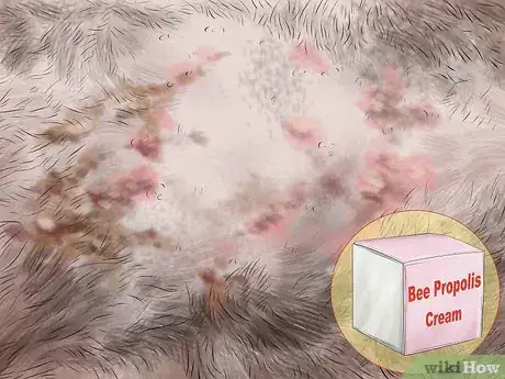 Image titled Treat Seasonal Allergies in Cats Step 8