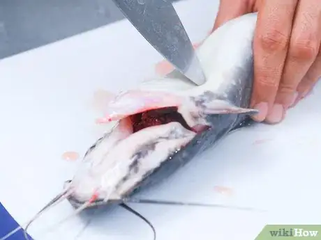 Image titled Freeze Fish Step 4