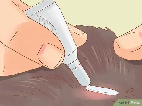 Image titled Give Selamectin to Cats with Parasites Step 5