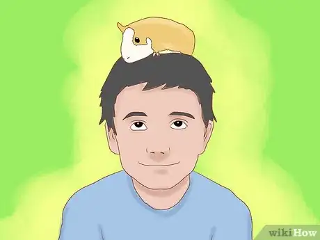 Image titled Take Photos of Your Guinea Pigs Step 14