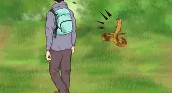 Treat Snake Bites in the Wilderness