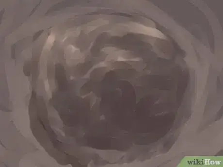 Image titled Plant a Plum Seed Step 18