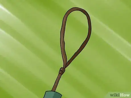 Image titled Train a Horse to Trailer Step 5