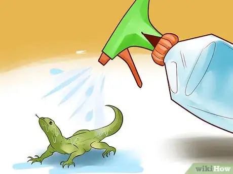Image titled Catch a Lizard in the House Step 9