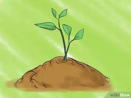 Image titled Make Money for Your Horse As a Teen Step 5