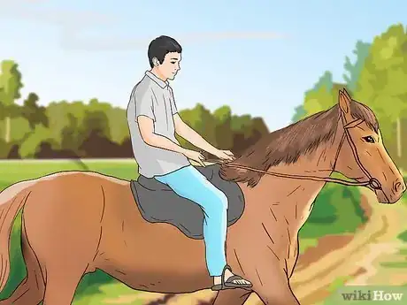 Image titled Buy a Trail Horse Step 13