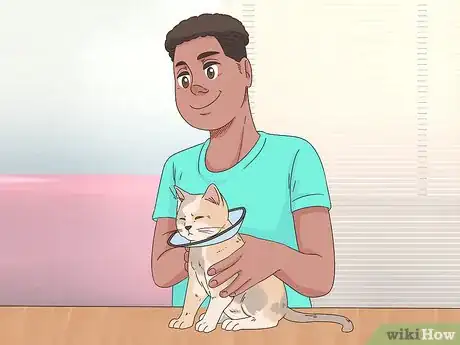 Image titled Diagnose and Treat Frostbite in Cats Step 12