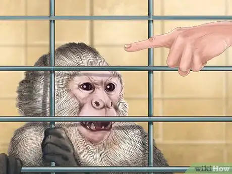 Image titled Quiet a Capuchin Monkey Step 16