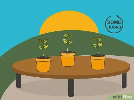 Image titled Grow Hot Peppers Step 7