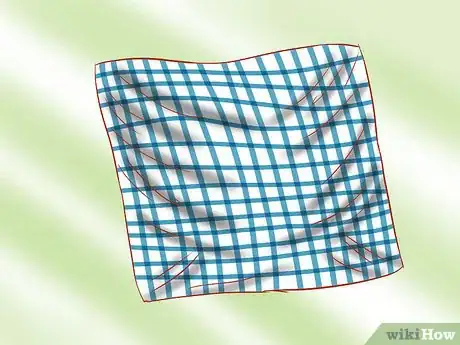 Image titled Dress Up As Dorothy in the Wizard of Oz Step 1