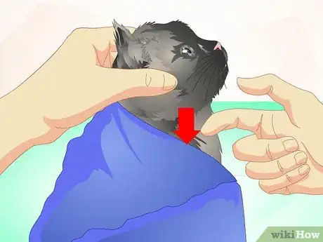 Image titled Deliver Oral Medication to Cats Step 14