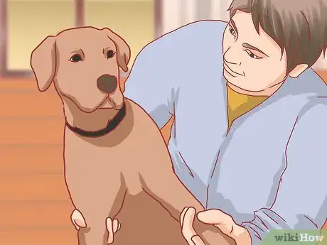 Image titled Care for Great Danes Step 13