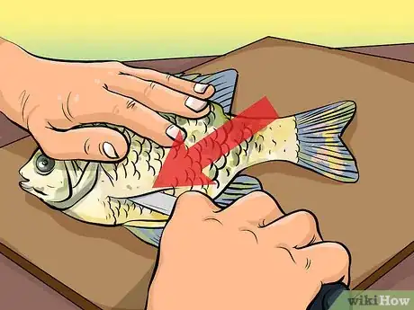 Image titled Clean Sunfish Step 7