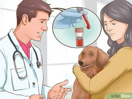 Image titled Provide Preventive Veterinary Care for Your Dog Step 4