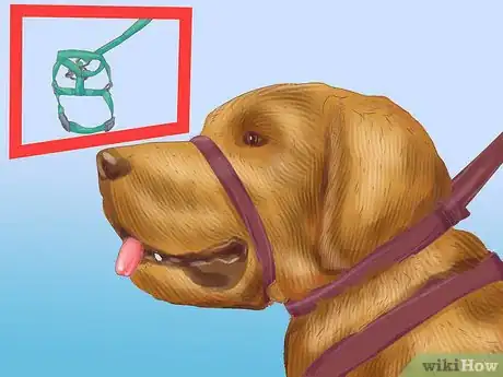 Image titled Manage Aggression in Older Dogs Step 4