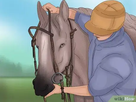 Image titled Prepare to Ride a Horse Step 14
