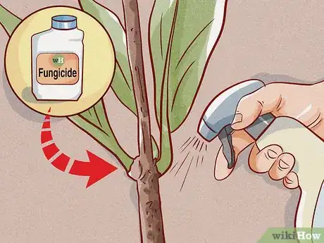 Image titled Make Cinnamon Step 10