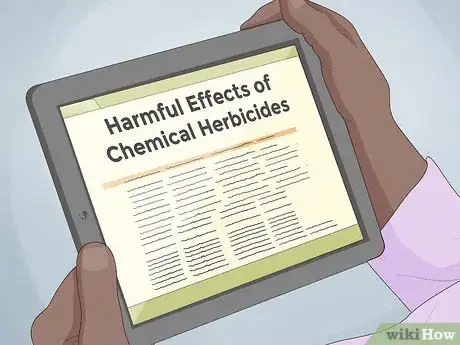 Image titled Get Rid of Ground Ivy Step 7