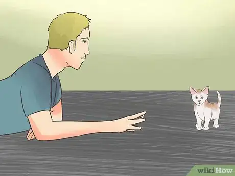 Image titled Earn a Kitten's Trust Step 4