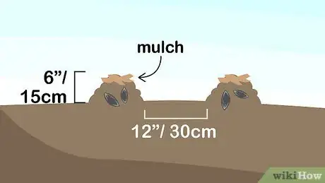 Image titled Grow Squash Step 6
