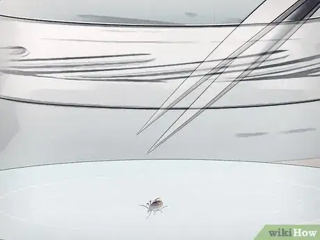 Image titled Remove a Tick from a Horse Step 14