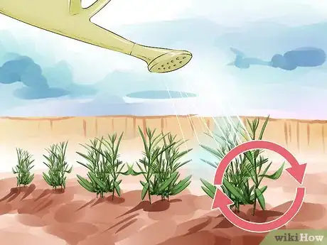Image titled Grow Tarragon Step 10