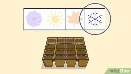 Image titled Grow Chamomile Step 1