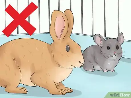 Image titled Keep Chinchillas Safe from other Pets Step 6