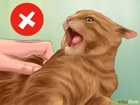 Image titled Act When Meeting a Strange Cat Step 9