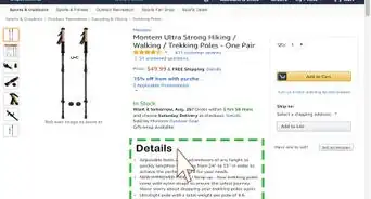 Buy a Hiking Pole