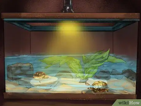 Image titled Choose the Right Reptile as a Pet Step 16