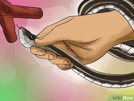 Image titled Catch a Garter Snake Step 14