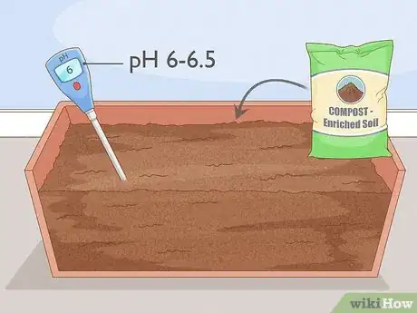 Image titled Grow Green Beans Indoors Step 3