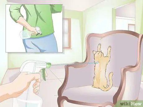 Image titled Use a Spray Bottle on a Cat for Training Step 8