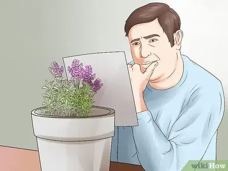 Image titled Divide a Lavender Plant Step 21