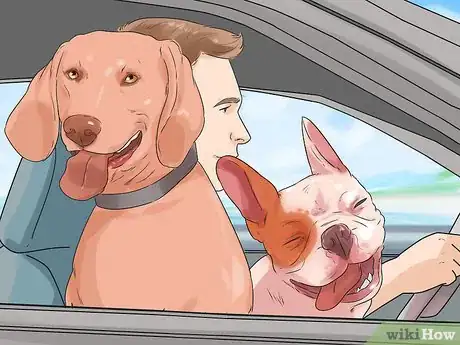 Image titled Have a Happy Weimaraner Step 11