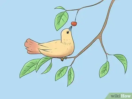 Image titled Protect Your Cherry Trees from Birds Step 1