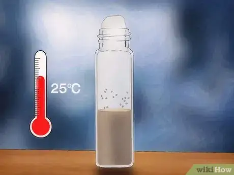 Image titled Perform Vial Transfers With Fruit Flies Step 8