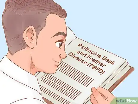 Image titled Know if Lories and Lorikeets Are Right for You Step 6