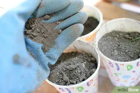 Image titled Grow Herb Gardens from Seed Step 2