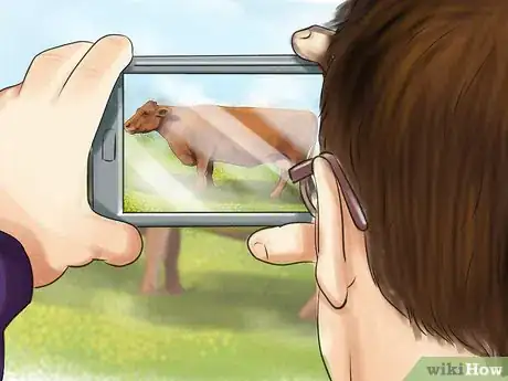 Image titled Identify Red Poll Cattle Step 4