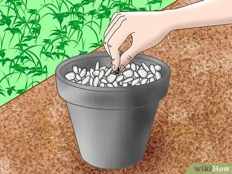 Image titled Start a Homemade Hydroponic Garden Step 5