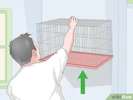 Image titled House a Canary Step 6