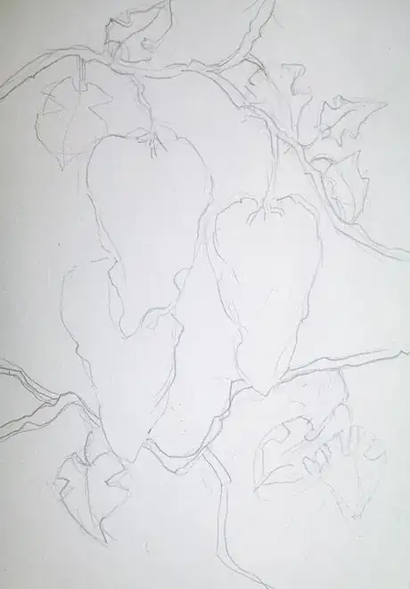 Image titled Drawgrapes,vines,leafs