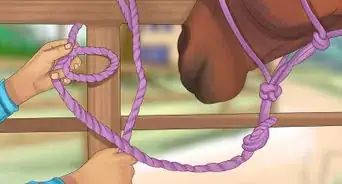 Tie up a Horse