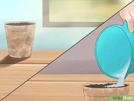 Image titled Grow Chickpeas Step 4