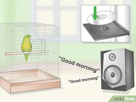 Image titled Teach a Parrotlet to Speak Step 10